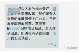 琼海为什么选择专业追讨公司来处理您的债务纠纷？